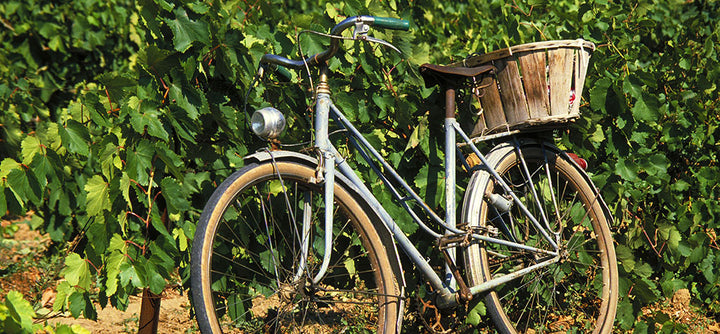 Explore the Wineries of the World by Bike Tour Part 2